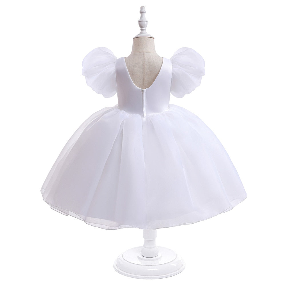 Tulle Princess Dress