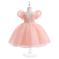 Tulle Princess Dress