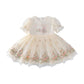 Embroidered Princess Dress 2-7 Years