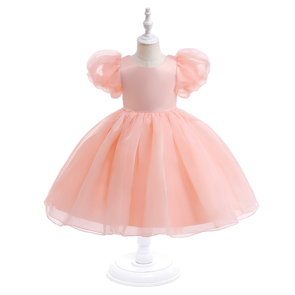 Tulle Princess Dress